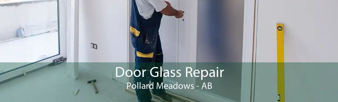 Door Glass Repair Pollard Meadows - AB