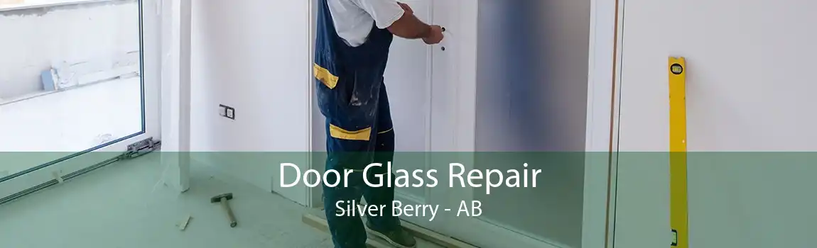 Door Glass Repair Silver Berry - AB