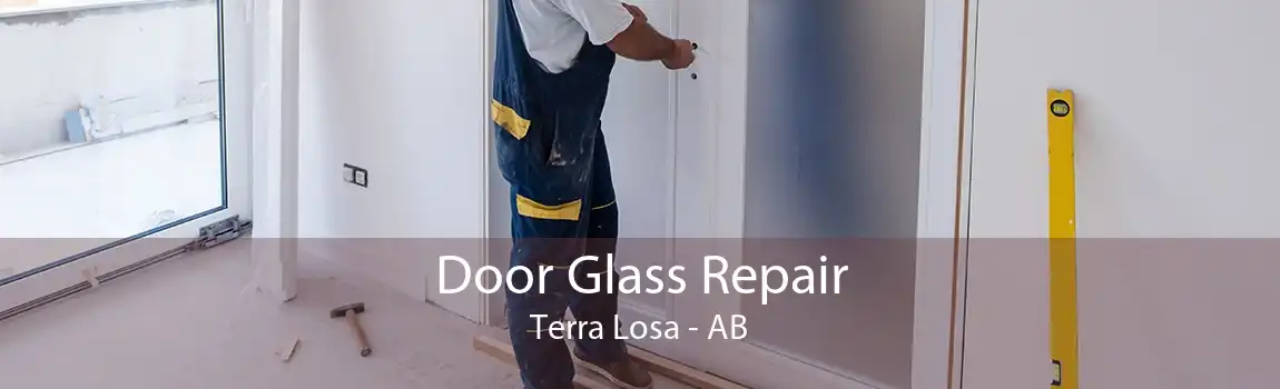 Door Glass Repair Terra Losa - AB