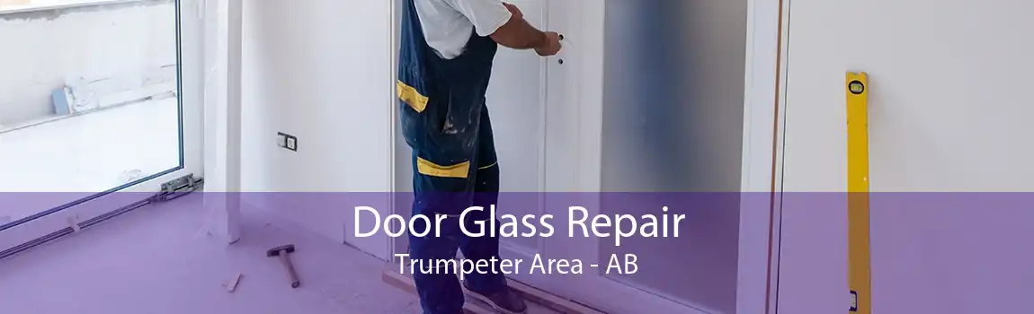 Door Glass Repair Trumpeter Area - AB