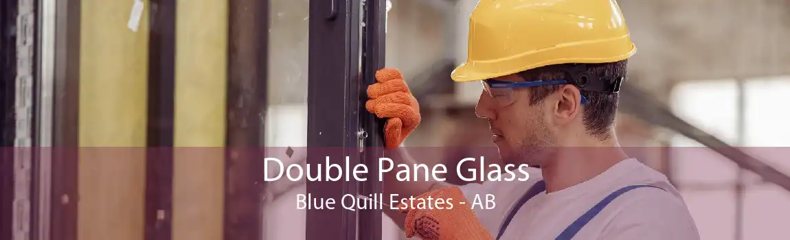 Double Pane Glass Blue Quill Estates - AB