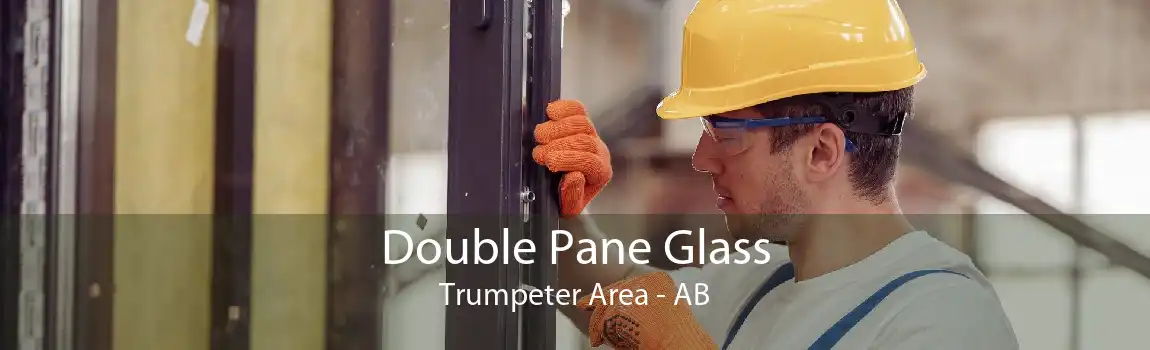 Double Pane Glass Trumpeter Area - AB