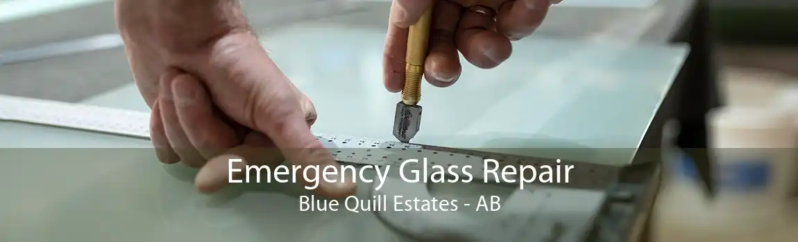 Emergency Glass Repair Blue Quill Estates - AB