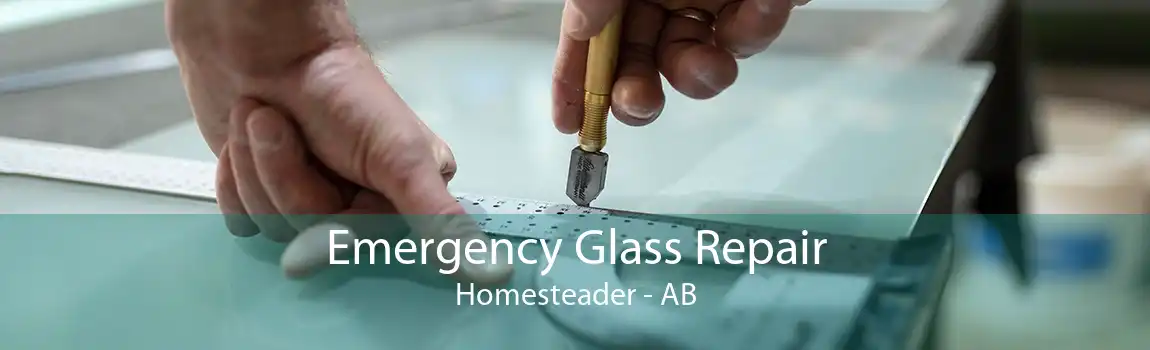 Emergency Glass Repair Homesteader - AB