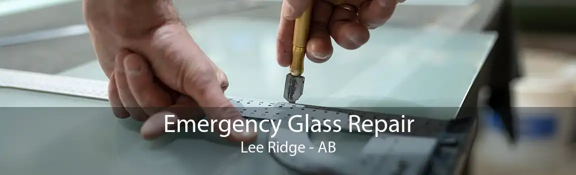 Emergency Glass Repair Lee Ridge - AB