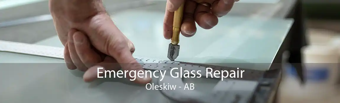 Emergency Glass Repair Oleskiw - AB