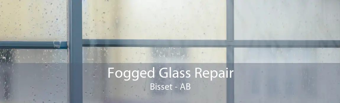 Fogged Glass Repair Bisset - AB