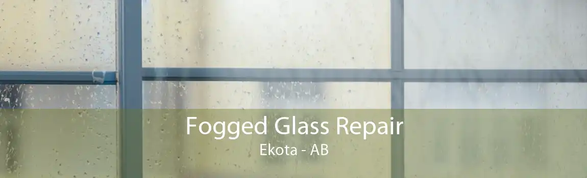 Fogged Glass Repair Ekota - AB