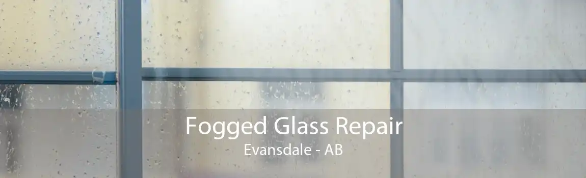 Fogged Glass Repair Evansdale - AB