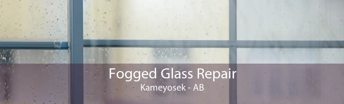 Fogged Glass Repair Kameyosek - AB