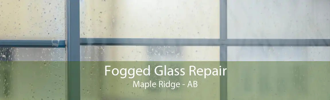 Fogged Glass Repair Maple Ridge - AB