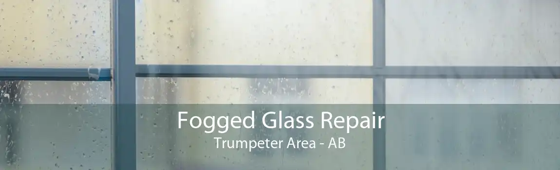 Fogged Glass Repair Trumpeter Area - AB