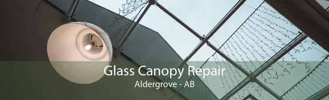 Glass Canopy Repair Aldergrove - AB