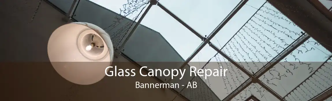 Glass Canopy Repair Bannerman - AB