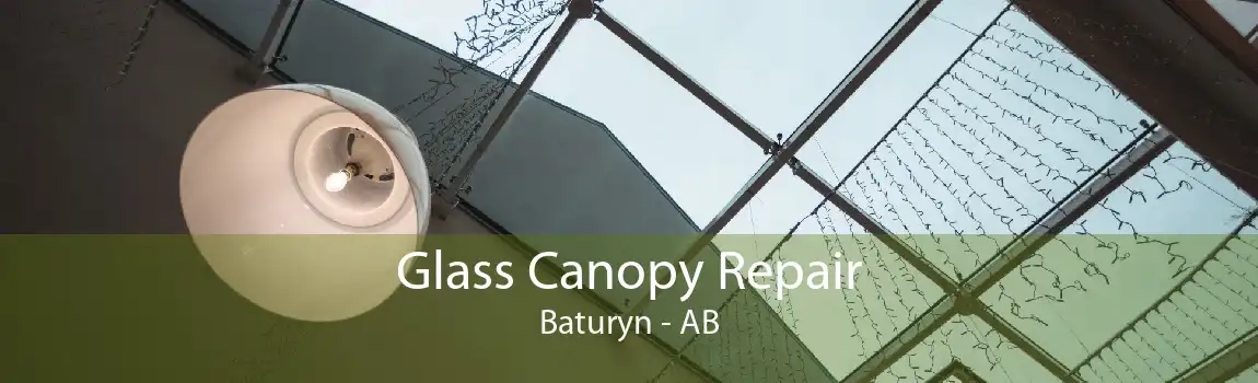 Glass Canopy Repair Baturyn - AB