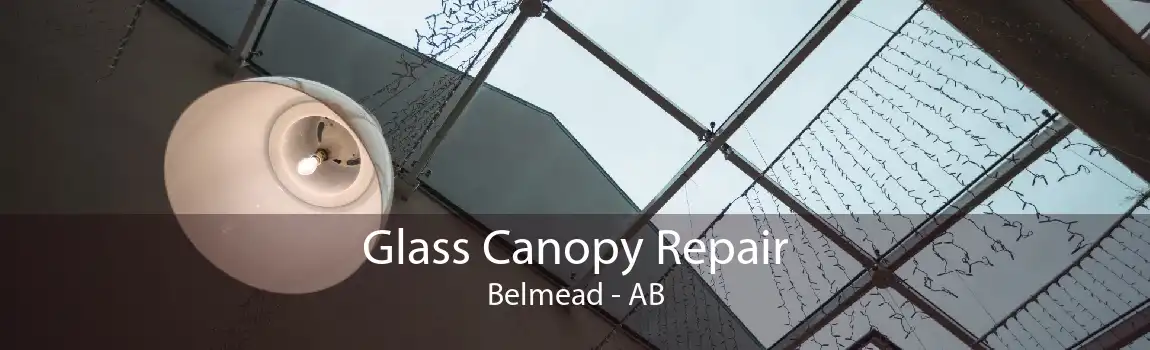 Glass Canopy Repair Belmead - AB