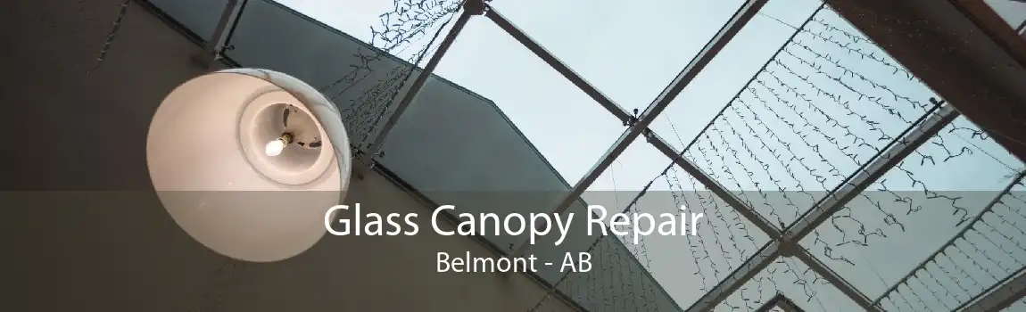 Glass Canopy Repair Belmont - AB