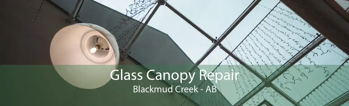 Glass Canopy Repair Blackmud Creek - AB