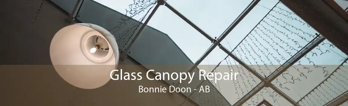 Glass Canopy Repair Bonnie Doon - AB