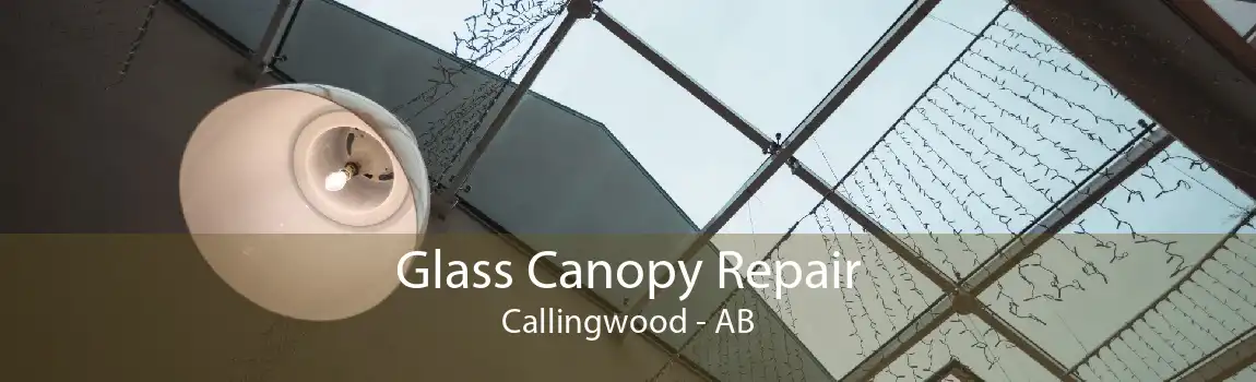 Glass Canopy Repair Callingwood - AB