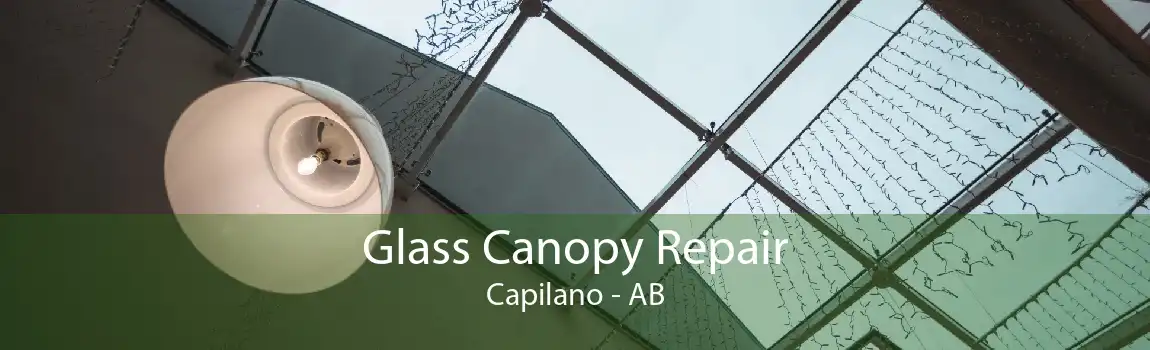 Glass Canopy Repair Capilano - AB