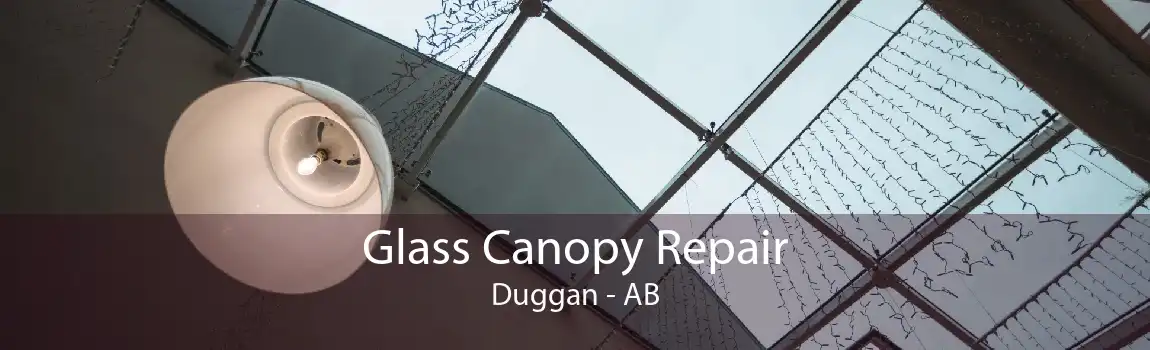 Glass Canopy Repair Duggan - AB