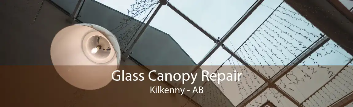 Glass Canopy Repair Kilkenny - AB