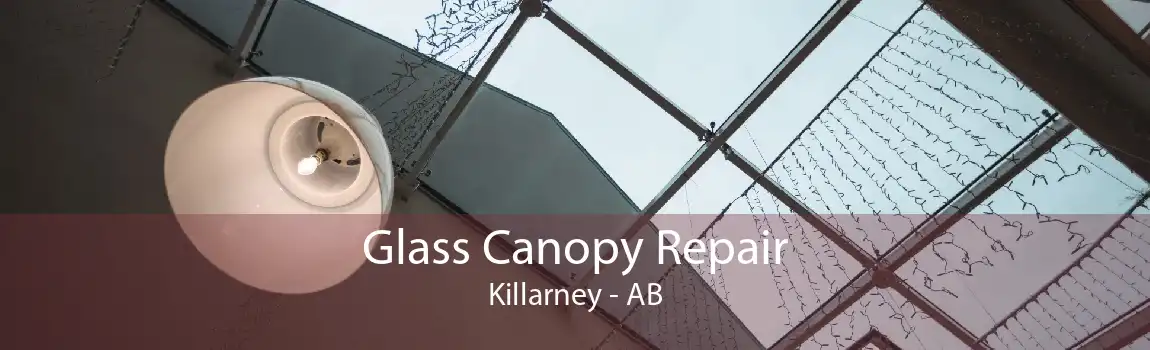 Glass Canopy Repair Killarney - AB