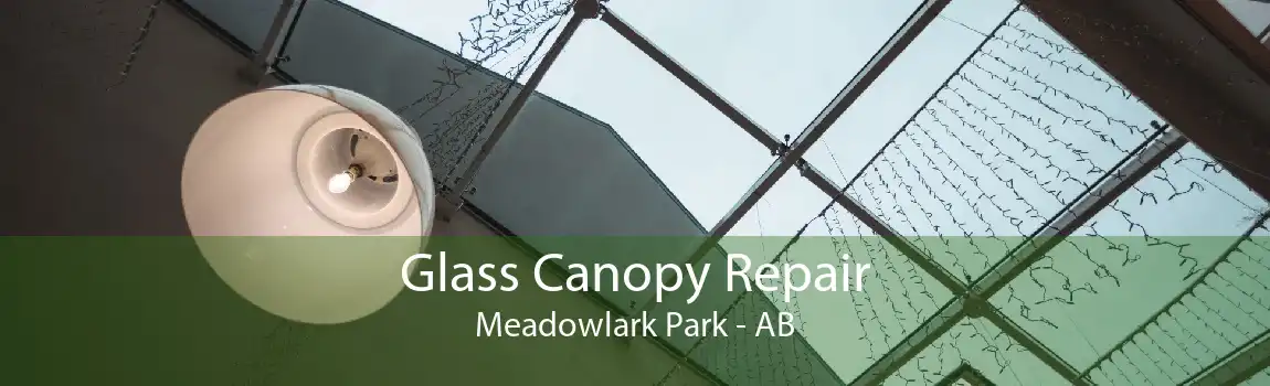 Glass Canopy Repair Meadowlark Park - AB