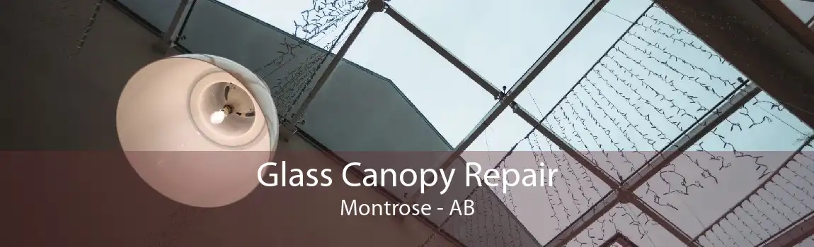 Glass Canopy Repair Montrose - AB