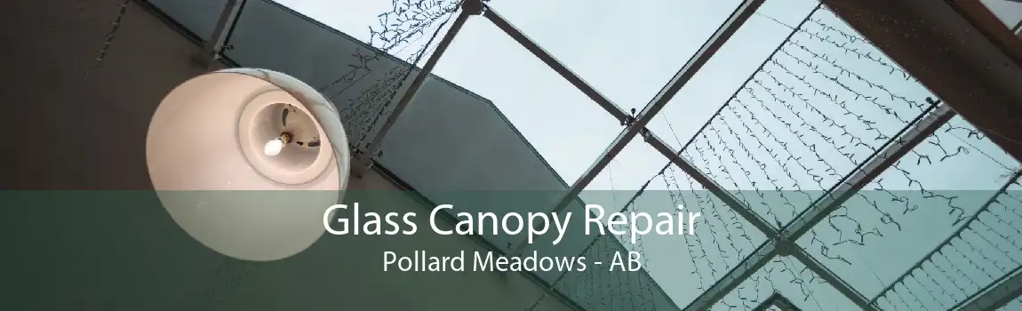 Glass Canopy Repair Pollard Meadows - AB