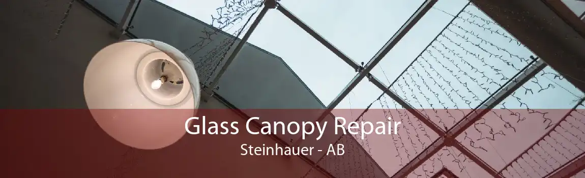 Glass Canopy Repair Steinhauer - AB