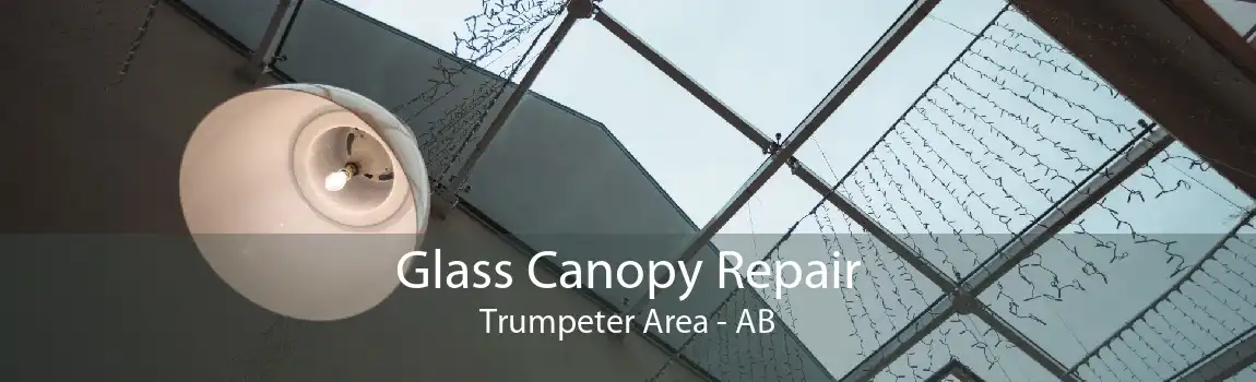 Glass Canopy Repair Trumpeter Area - AB