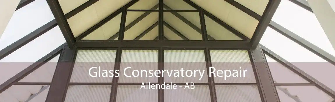 Glass Conservatory Repair Allendale - AB