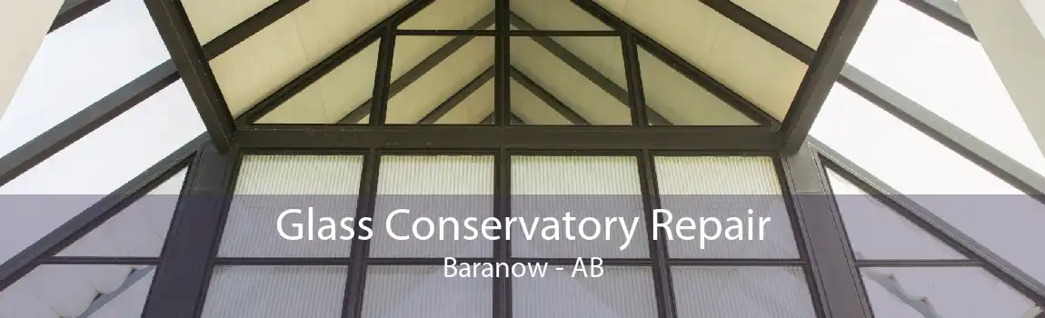 Glass Conservatory Repair Baranow - AB