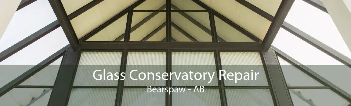 Glass Conservatory Repair Bearspaw - AB