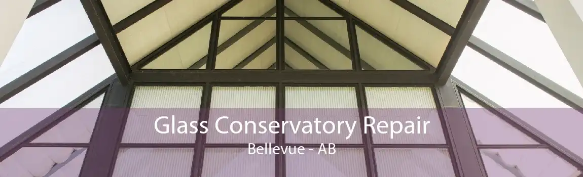 Glass Conservatory Repair Bellevue - AB