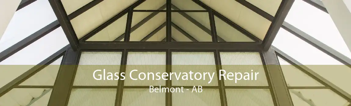 Glass Conservatory Repair Belmont - AB