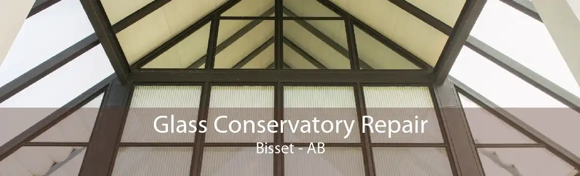 Glass Conservatory Repair Bisset - AB