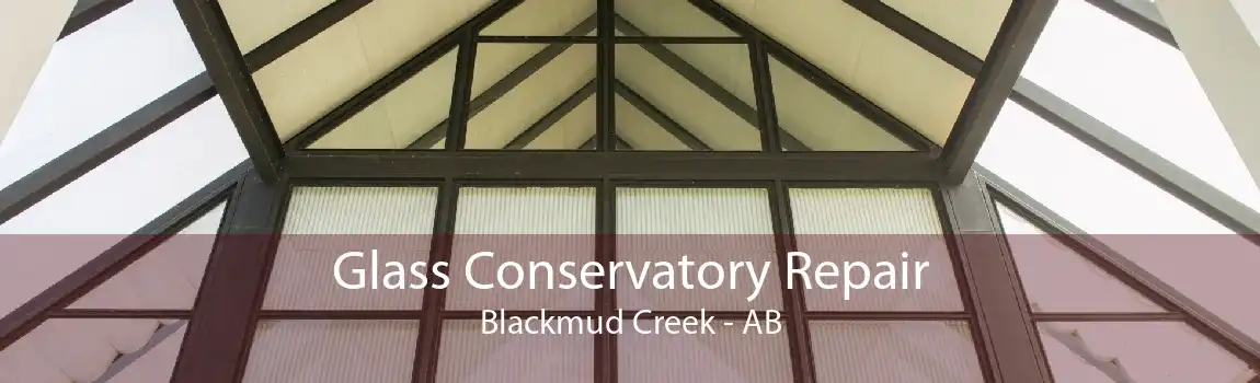 Glass Conservatory Repair Blackmud Creek - AB