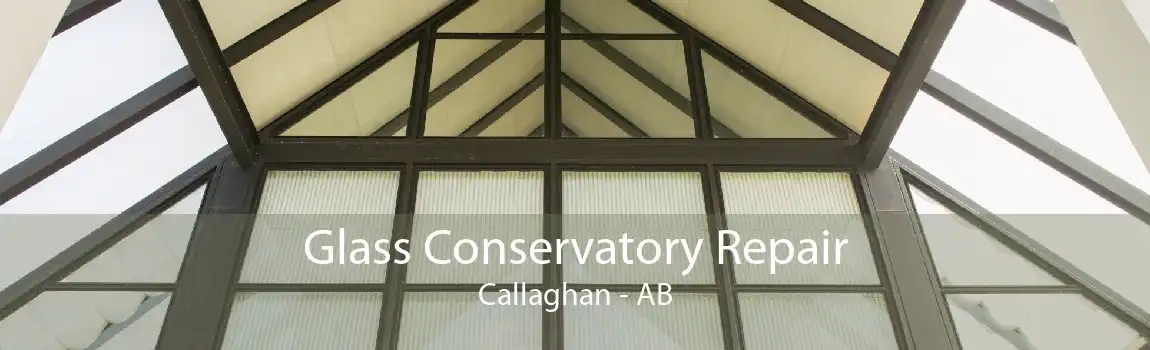 Glass Conservatory Repair Callaghan - AB