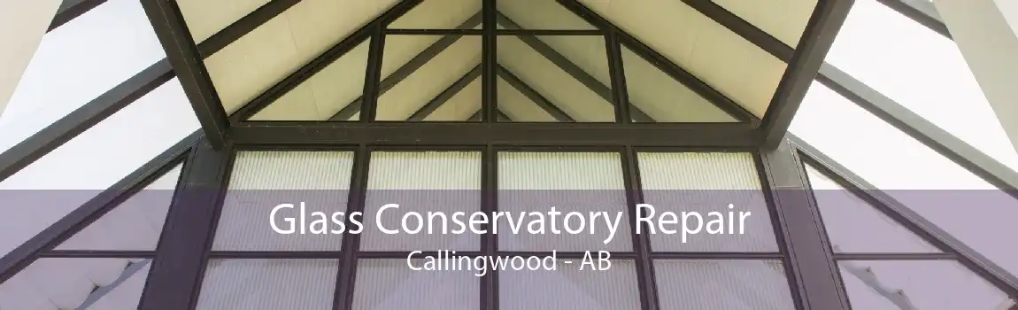 Glass Conservatory Repair Callingwood - AB