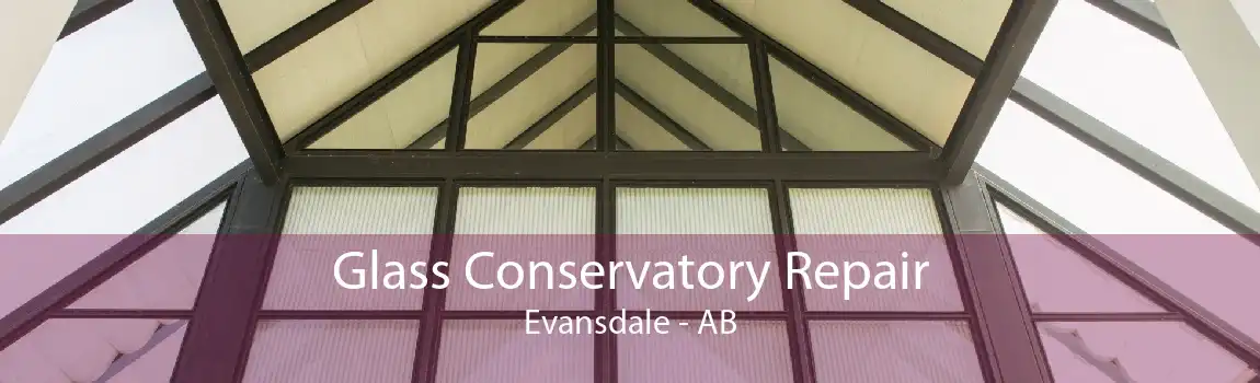 Glass Conservatory Repair Evansdale - AB