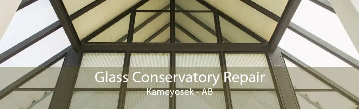 Glass Conservatory Repair Kameyosek - AB