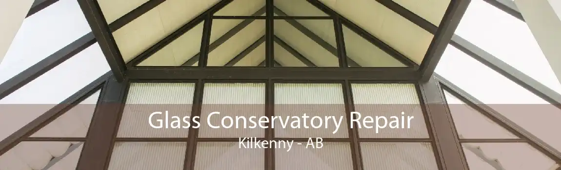 Glass Conservatory Repair Kilkenny - AB