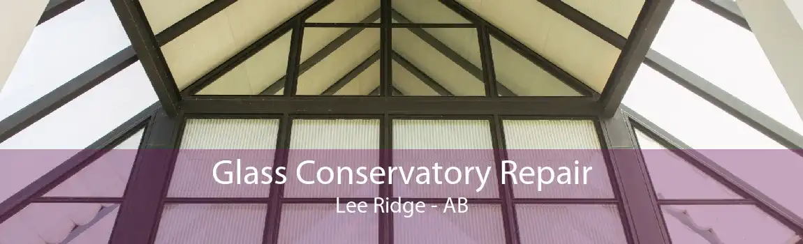 Glass Conservatory Repair Lee Ridge - AB