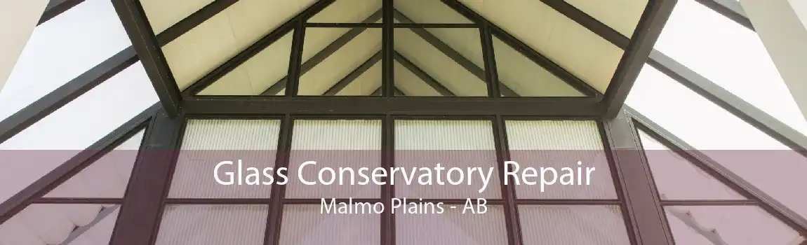 Glass Conservatory Repair Malmo Plains - AB