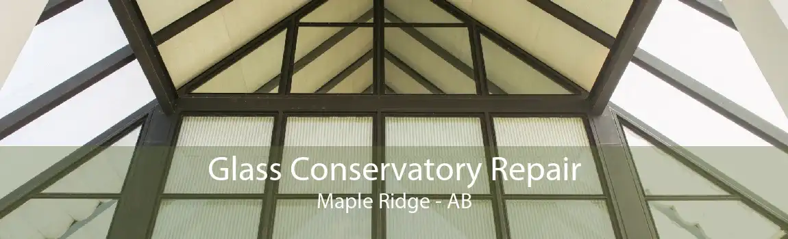 Glass Conservatory Repair Maple Ridge - AB