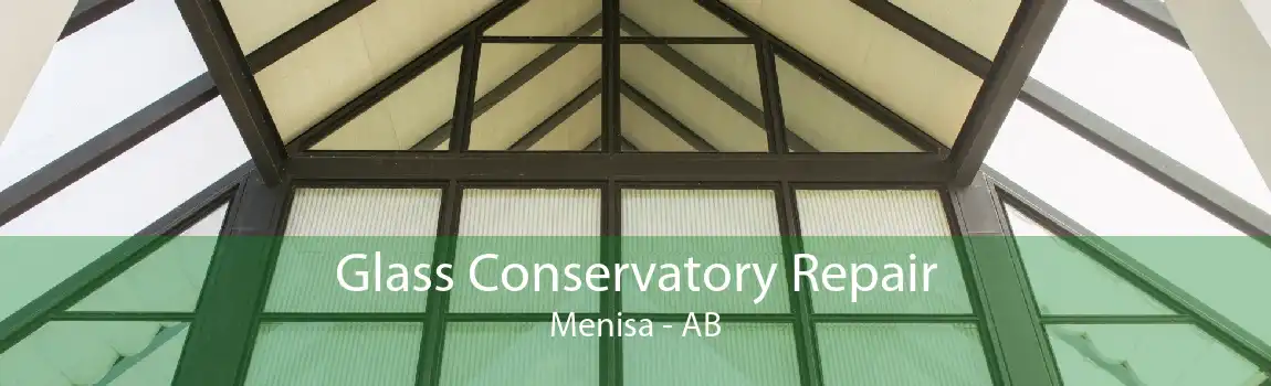 Glass Conservatory Repair Menisa - AB