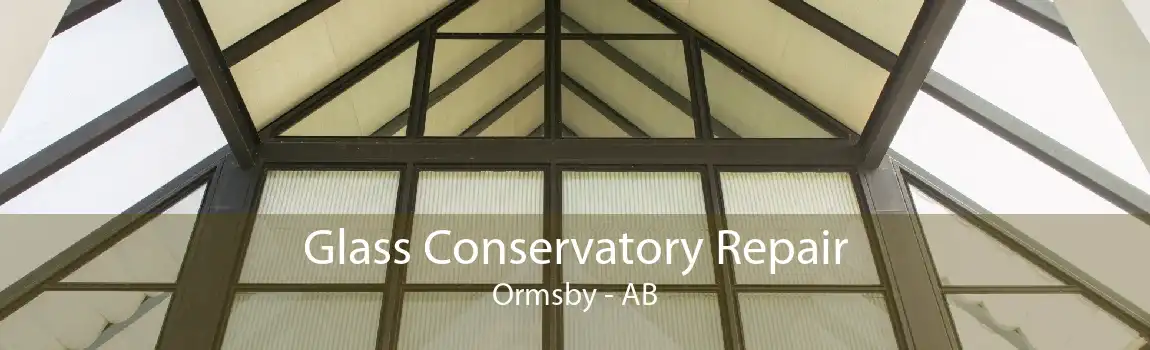 Glass Conservatory Repair Ormsby - AB